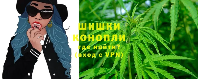 Бошки марихуана THC 21%  даркнет сайт  Новокузнецк 